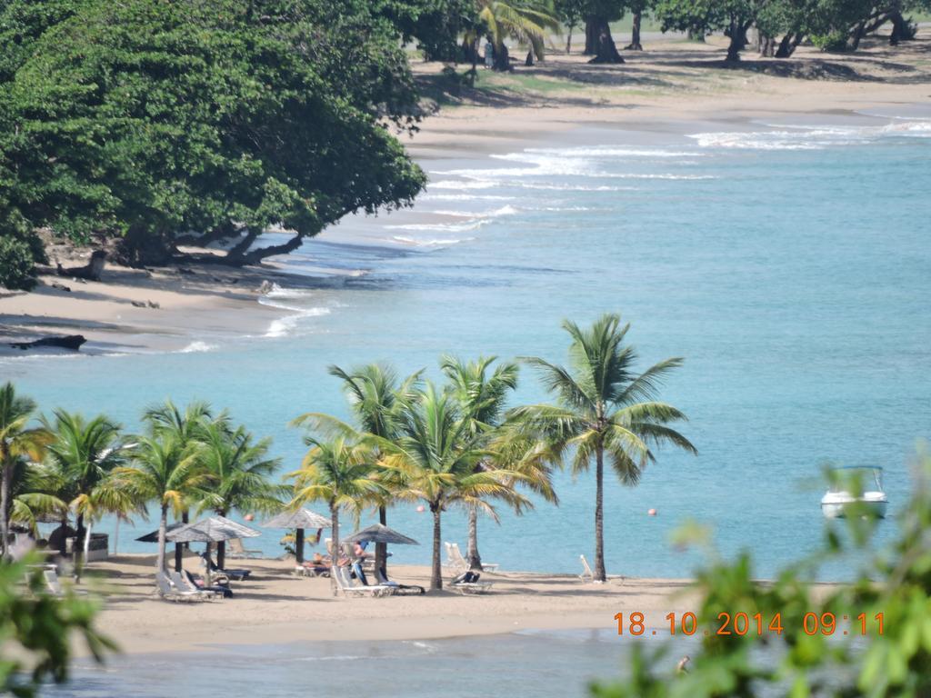 Amazing Beach View Apartments Castries Kültér fotó