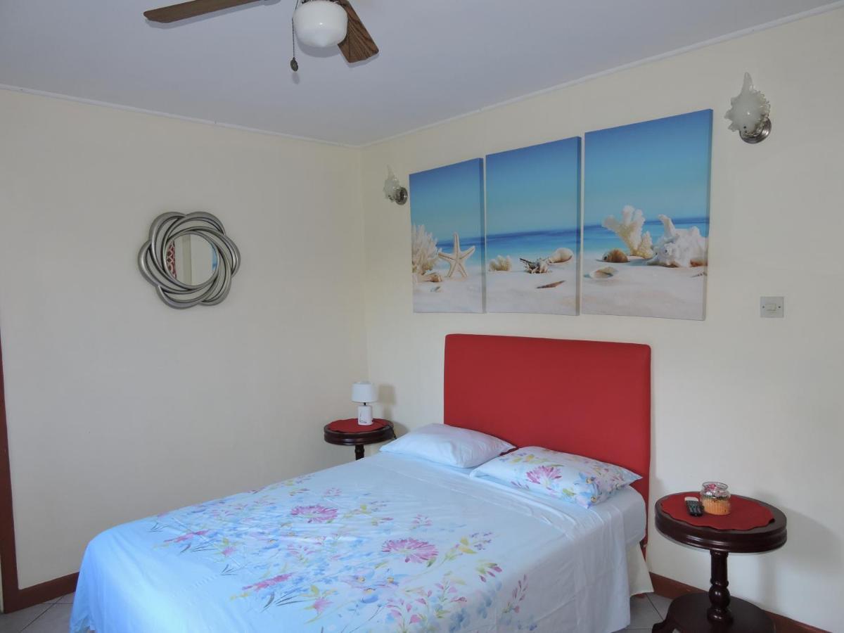 Amazing Beach View Apartments Castries Kültér fotó